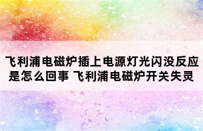 飞利浦电磁炉插上电源灯光闪没反应是怎么回事 飞利浦电磁炉开关失灵